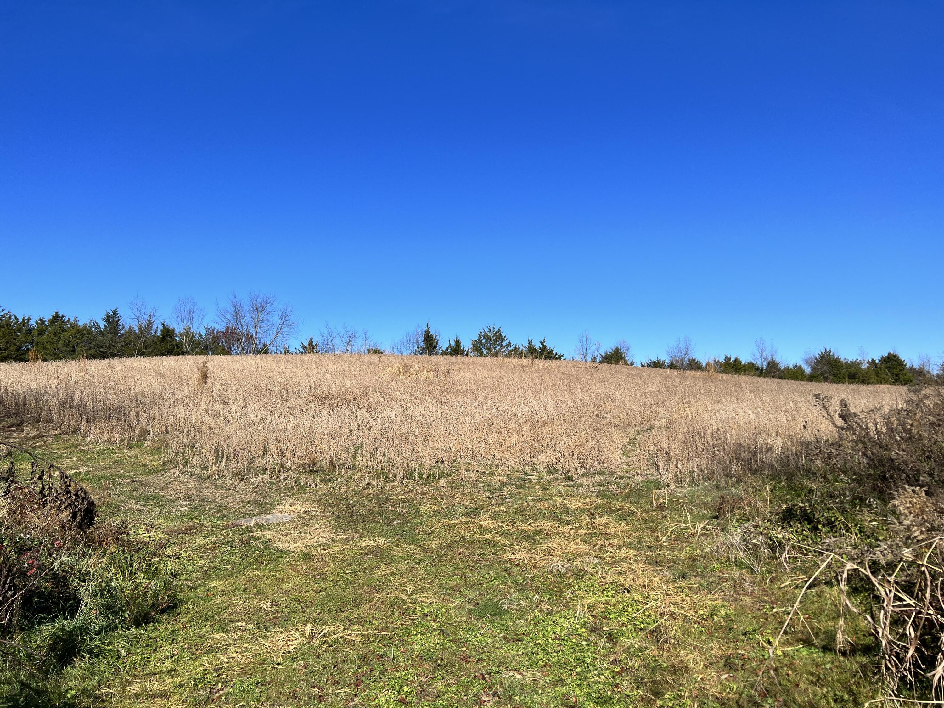 0.00 O J Campbell Road, Telford, Tennessee image 9
