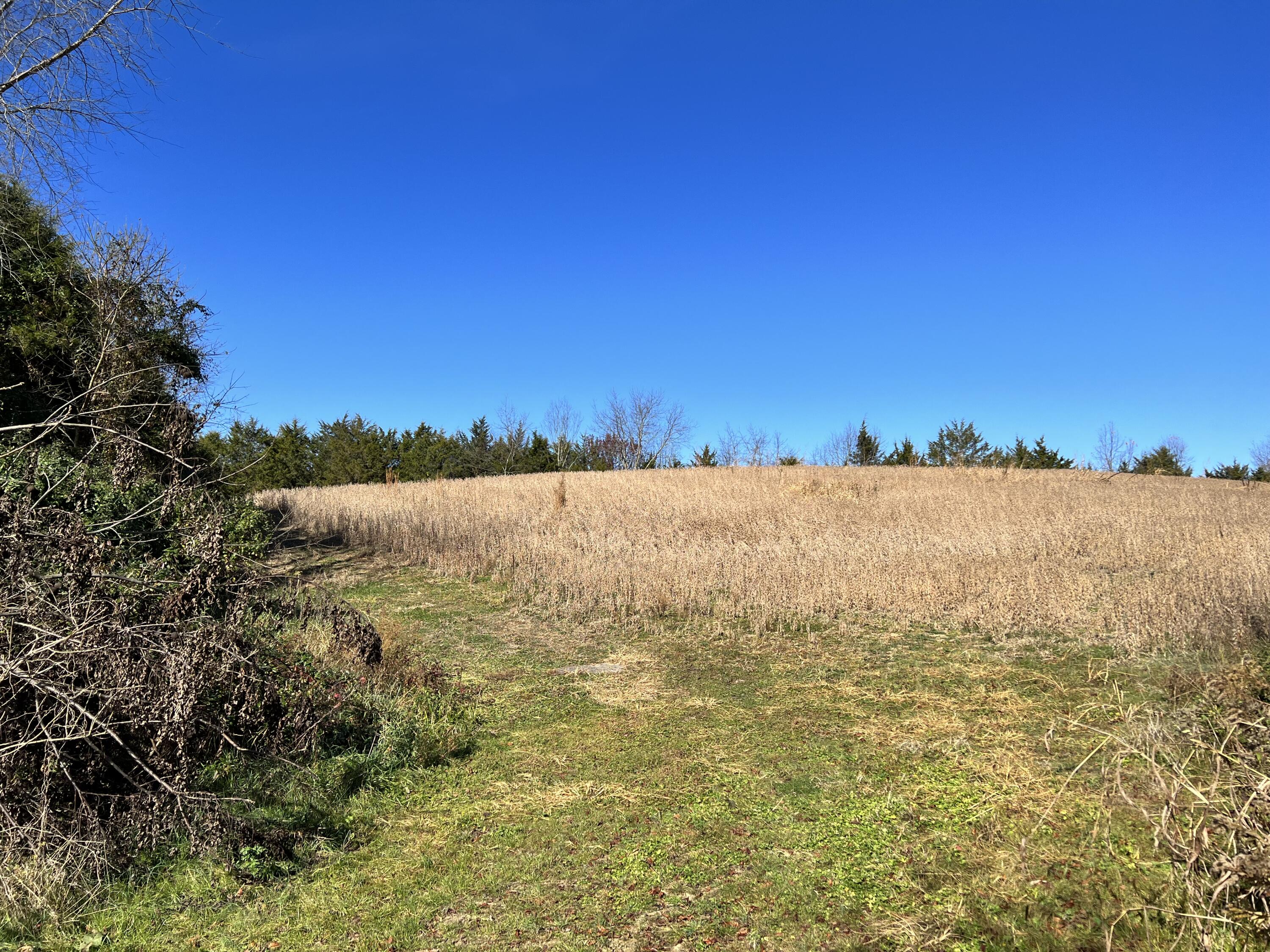 0.00 O J Campbell Road, Telford, Tennessee image 7