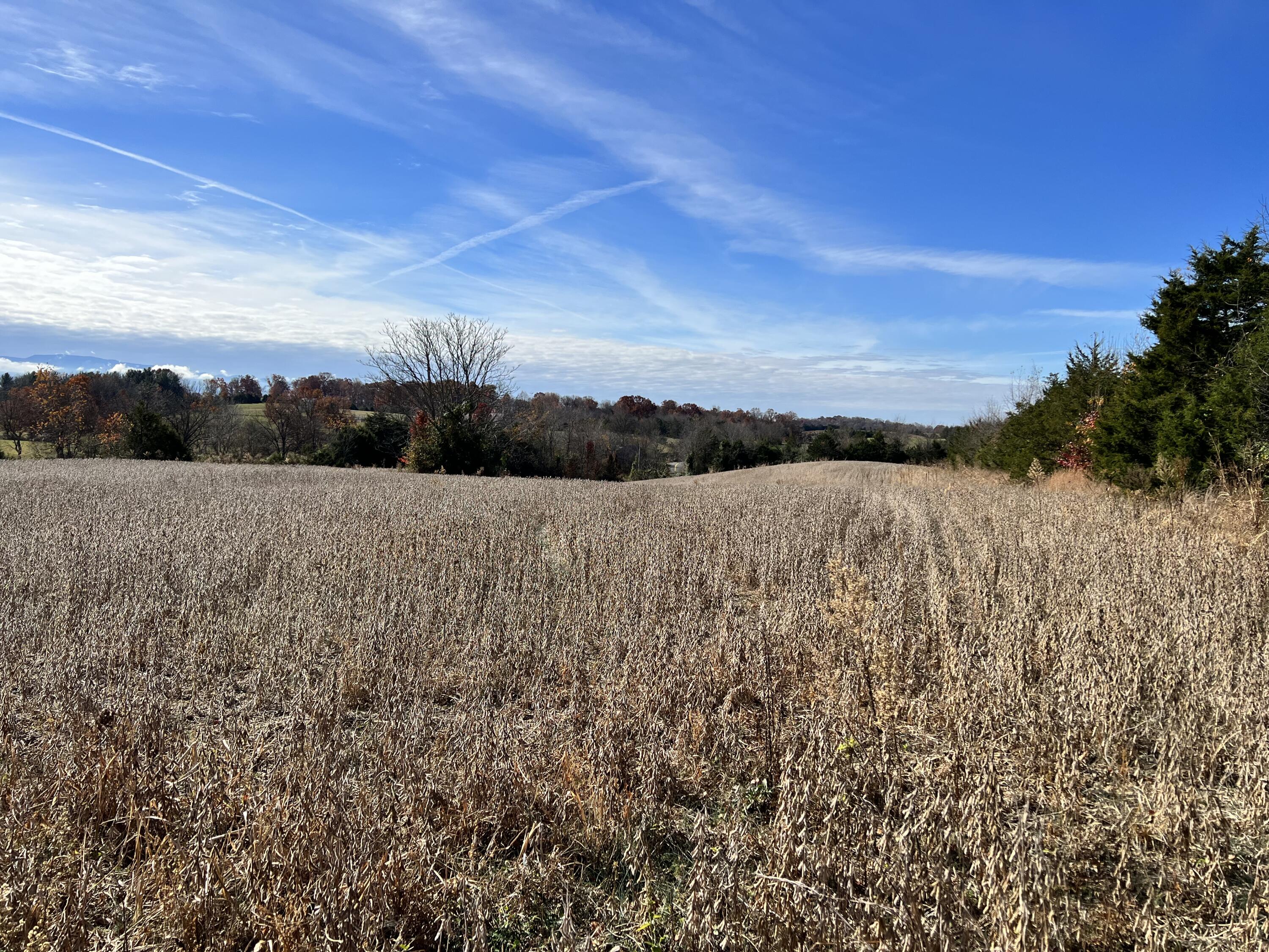 0.00 O J Campbell Road, Telford, Tennessee image 12