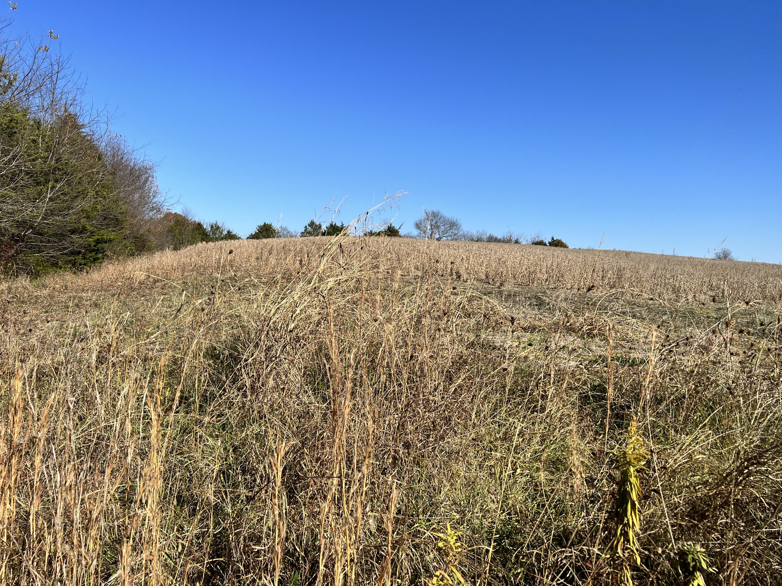 0.00 O J Campbell Road, Telford, Tennessee image 5