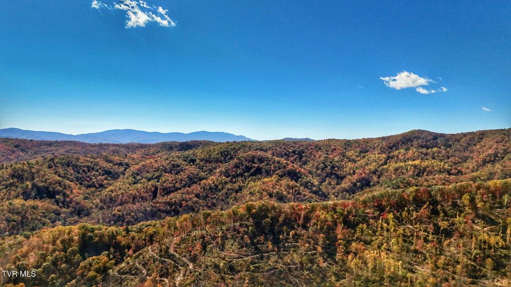 Photo of 1205 Mays Ridge Road, Butler, TN 37640 (MLS # 9987546)