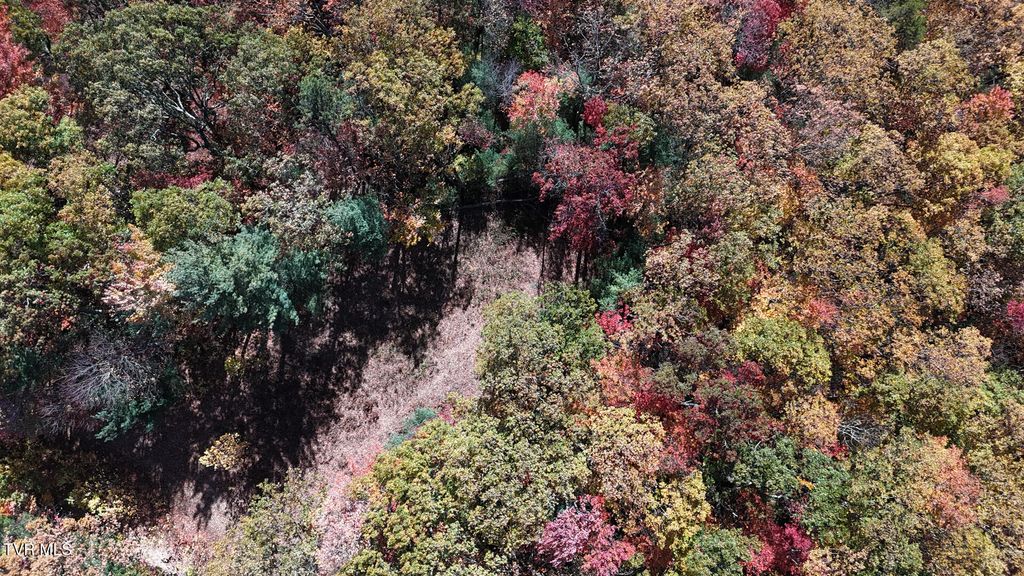 Photo of 1205 Mays Ridge Road, Butler, TN 37640 (MLS # 9987546)