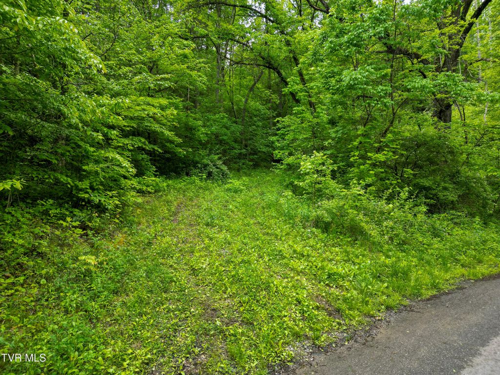 Photo of Tbd Paint Mtn Road, Greeneville, TN 37743 (MLS # 9989068)