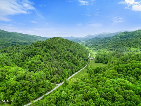 Vacant Land For Sale - TBD Paint Mtn Road<br/> Greeneville, TN 37743