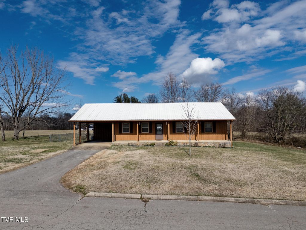 Photo of 185 Davy Crockett Drive, Greeneville, TN 37743 (MLS # 9991842)