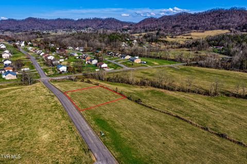 Lot 2 Dawn Lane Lot 2 Rogersville TN 37857