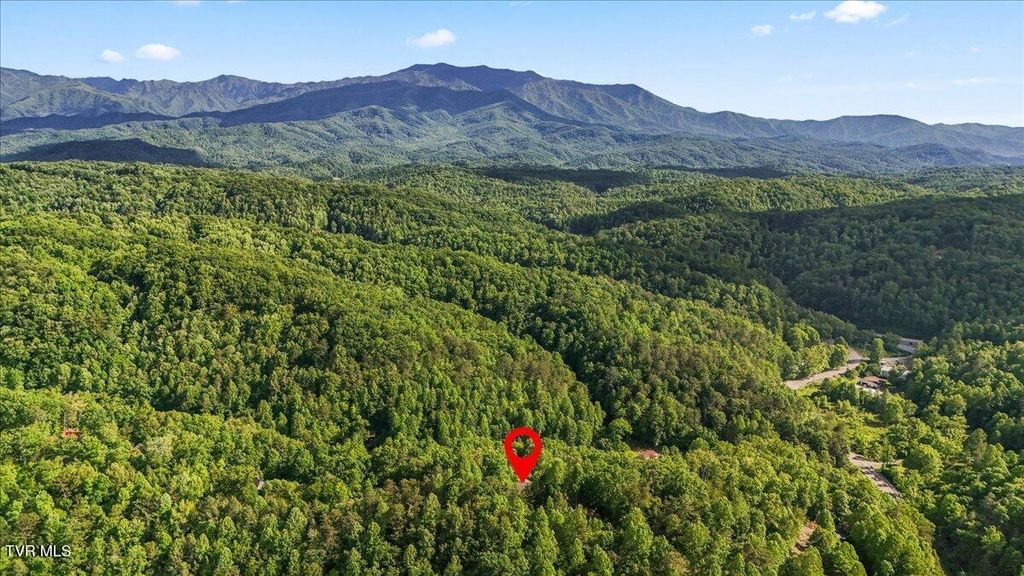 Photo of 2213 Woodcock Trail, Sevierville, TN 37876 (MLS # 9996741)