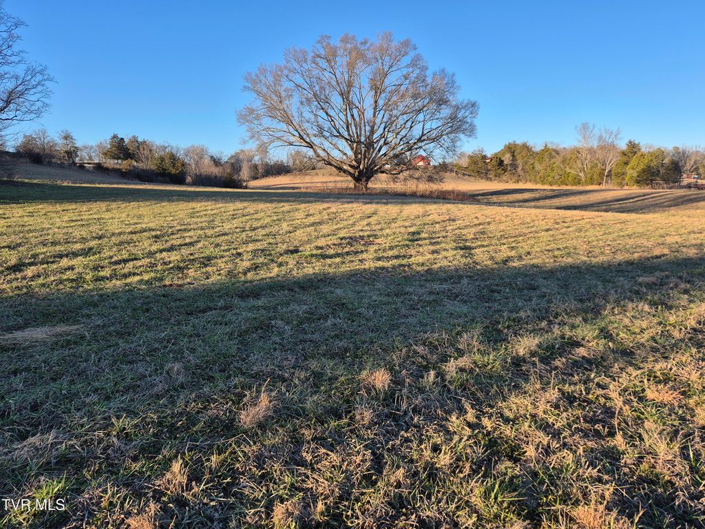Photo of 0 Cw Kite Ln, Mosheim, TN 37818 (MLS # 9990077)