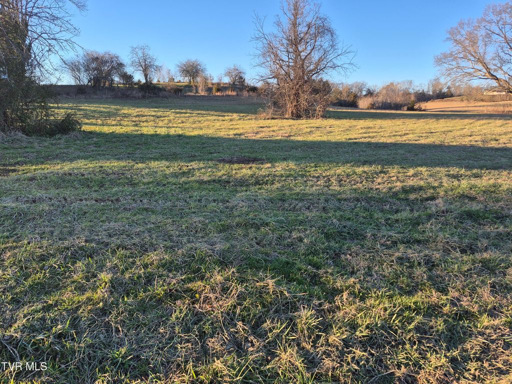 Photo of 0 Cw Kite Ln, Mosheim, TN 37818 (MLS # 9990077)