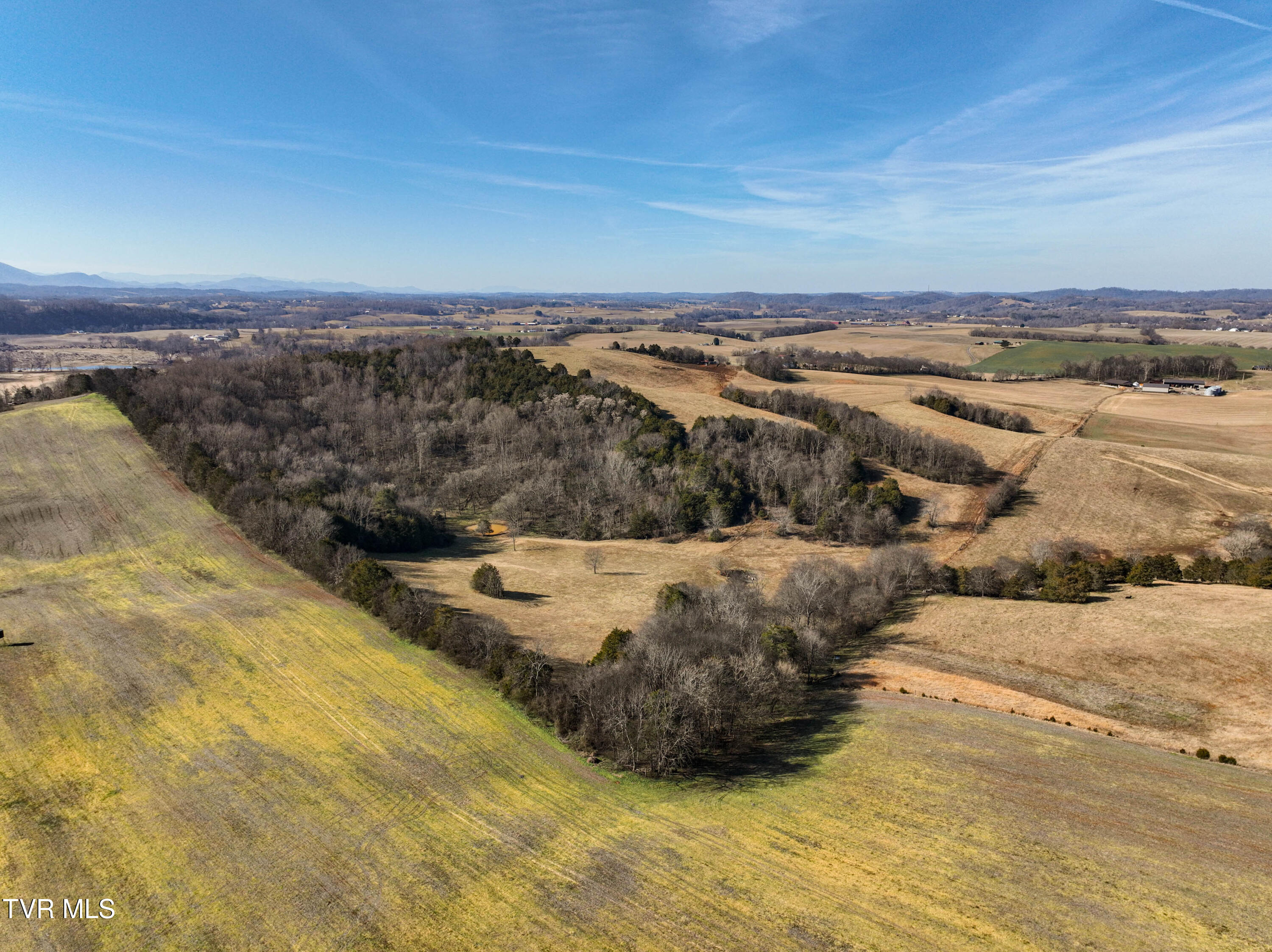 Tbd Corby Bridge Rd., Limestone, Tennessee image 6