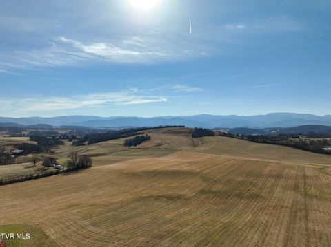 Vacant Land For Sale - TBD Corby Bridge Rd.<br/> Limestone, TN 37681