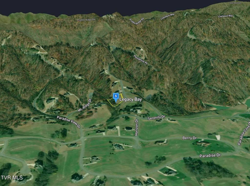 Photo of 12039 Harbor View, Mooresburg, TN 37811 (MLS # 9985245)