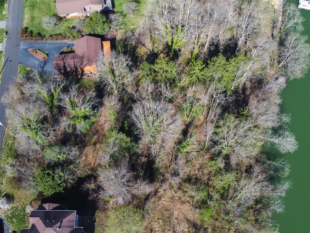 Tbd Crest Lot 27 Road, Kingsport, Tennessee image 1