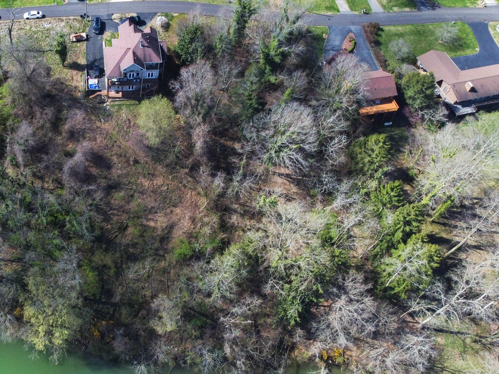 Tbd Crest Lot 27 Road, Kingsport, Tennessee image 3