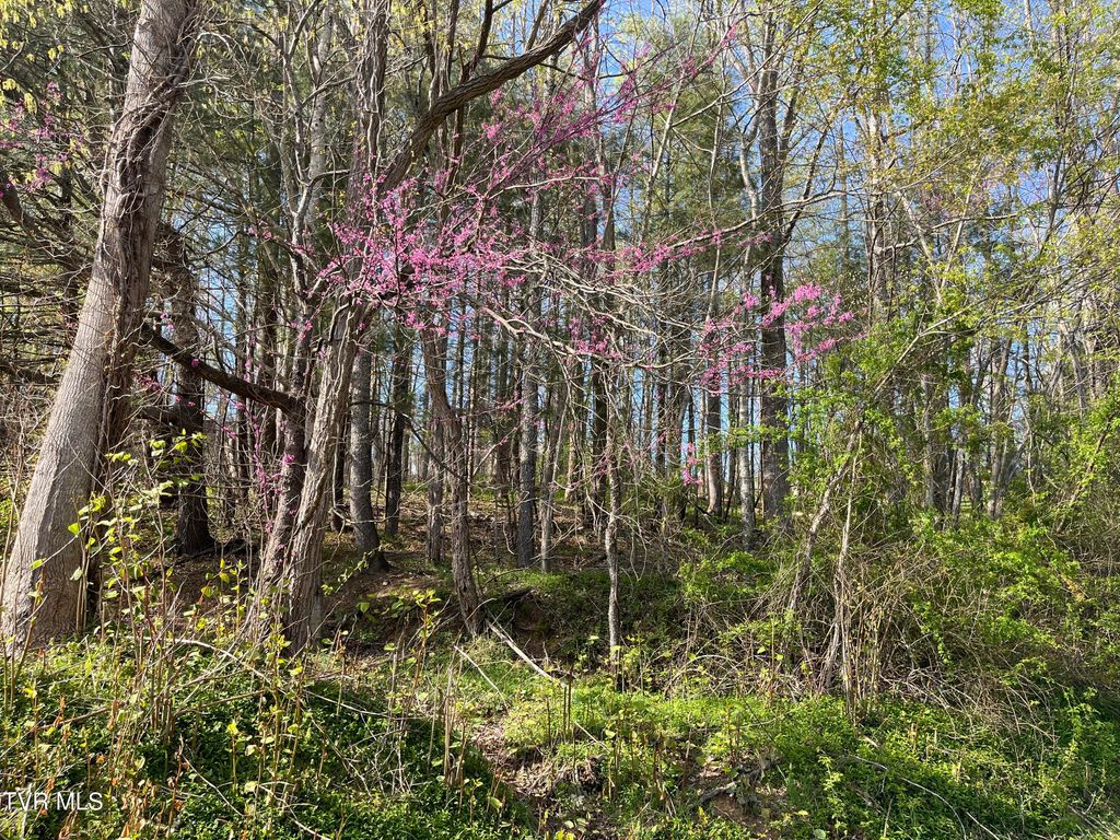 Photo of 2 Powell Valley Road Road, Big Stone Gap, VA 24219 (MLS # 9978725)
