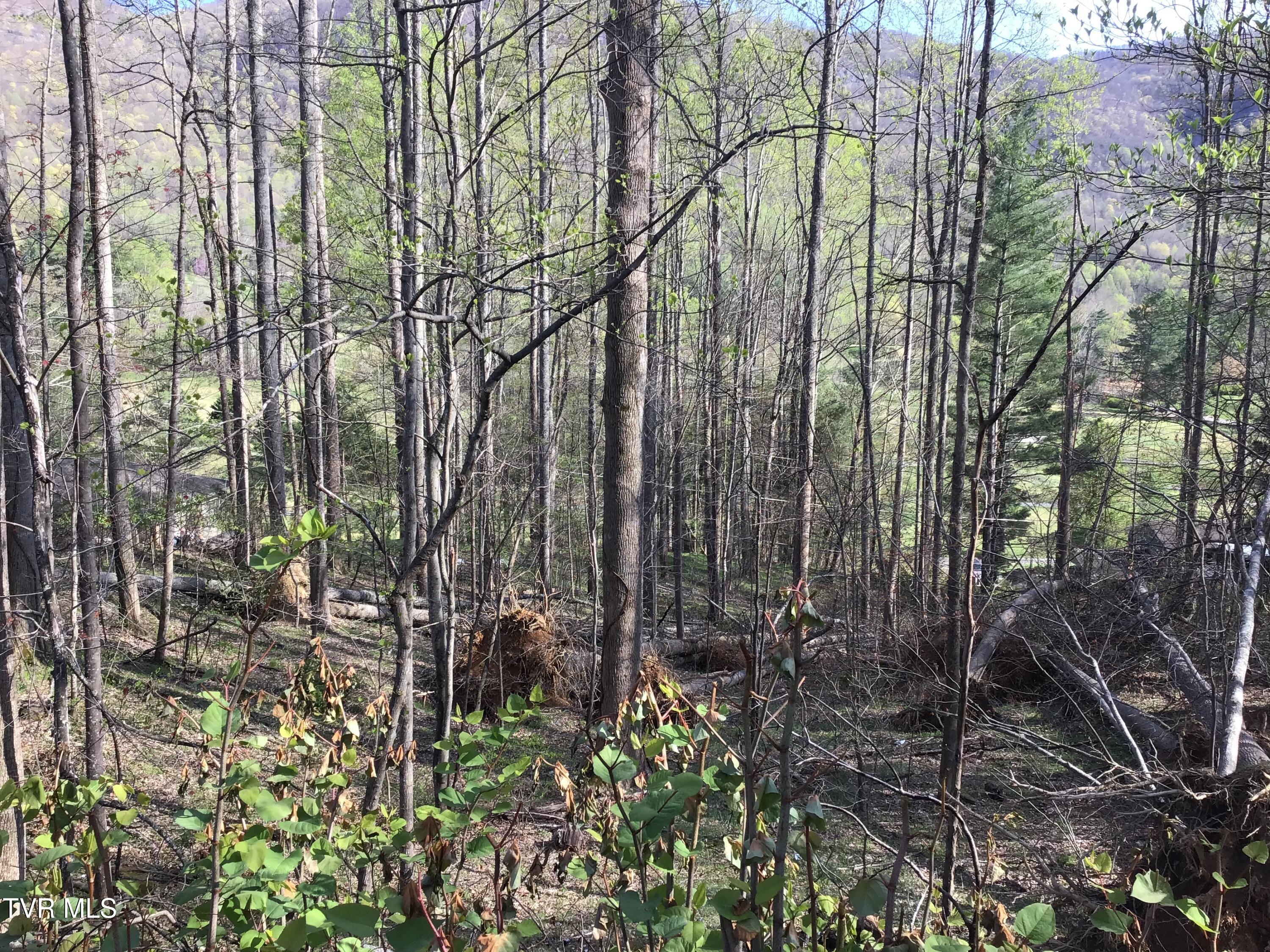2 Lots Powell Valley Road Road, Big Stone Gap, Virginia image 3