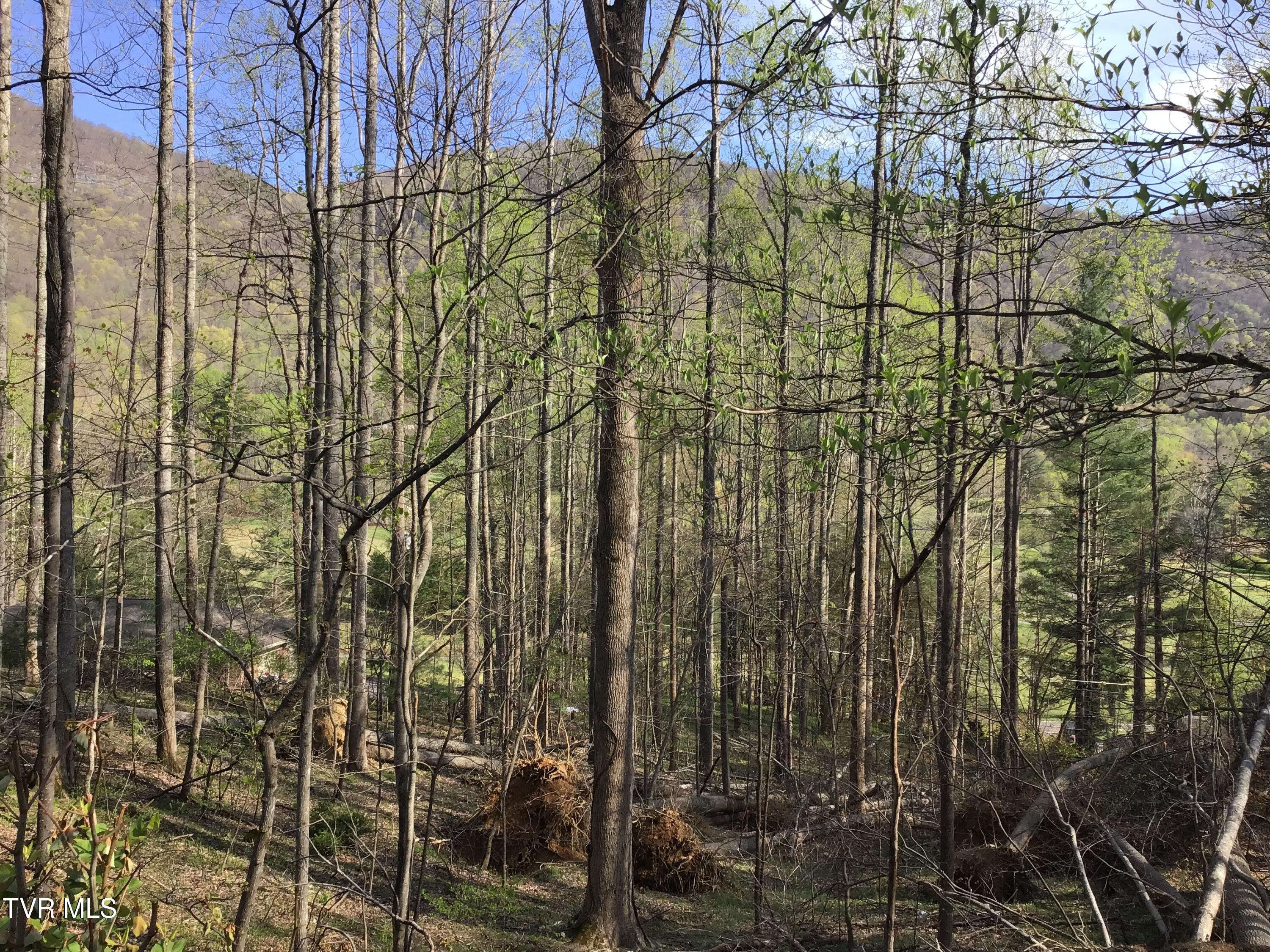 2 Lots Powell Valley Road Road, Big Stone Gap, Virginia image 4