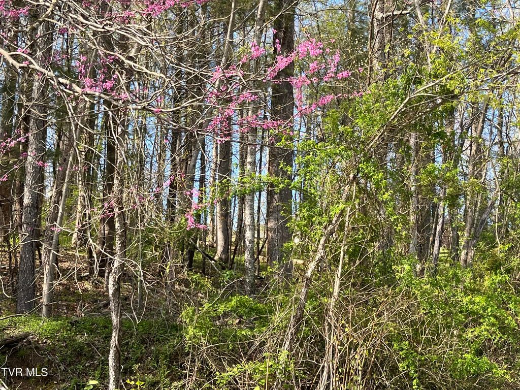 Photo of 2 Powell Valley Road Road, Big Stone Gap, VA 24219 (MLS # 9978725)