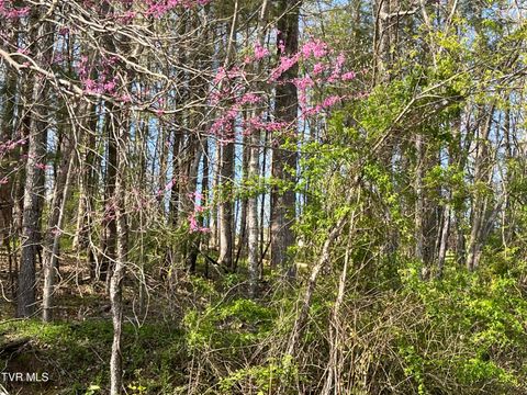Vacant Land For Sale - 2 LOTS Powell Valley Road Road<br/> Wise County, Big Stone Gap, VA 24219