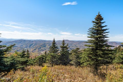 Vacant Land For Sale - V6 Sun Shine Nvno<br/> Johnson County, Trade, TN 37691