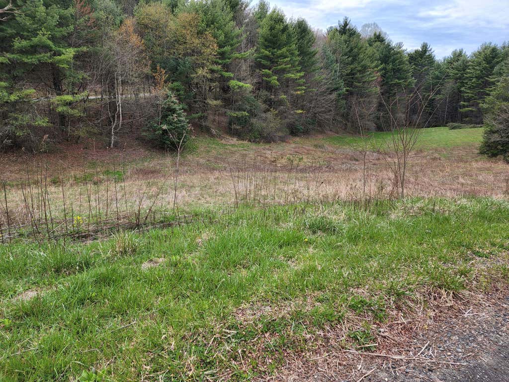 Photo of Tbd Lot 30 Laurelwood Lane, Mountain City, TN 37683 (MLS # 9998157)