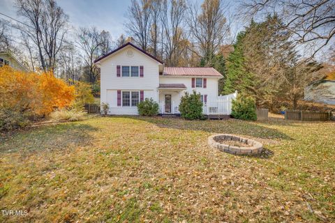 Photo of 210 Emory Harr Pvt Drive, Blountville, TN 37617 (MLS # 9988435)