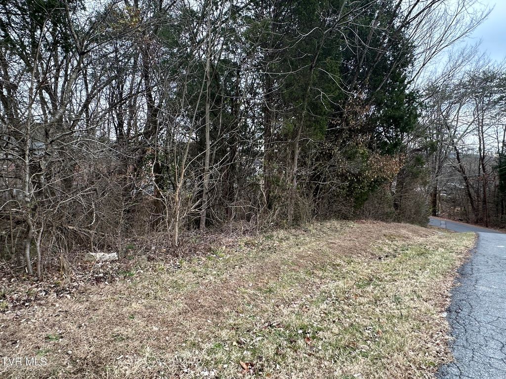 Photo of Tbd Lowrance Drive, Kingsport, TN 37660 (MLS # 9989439)