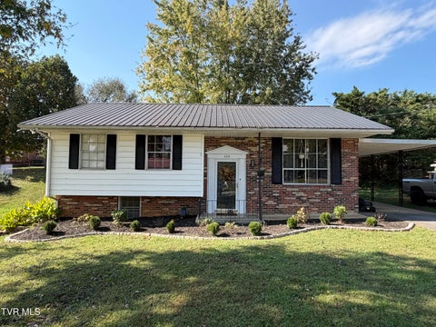 Photo of 206 Alderman Drive, Greeneville, TN 37745 (MLS # 10002228)