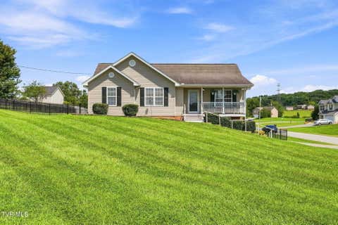 Homes For Sale - 221 Douglas Chapel Road<br/> Washington County, Jonesborough, TN 37659