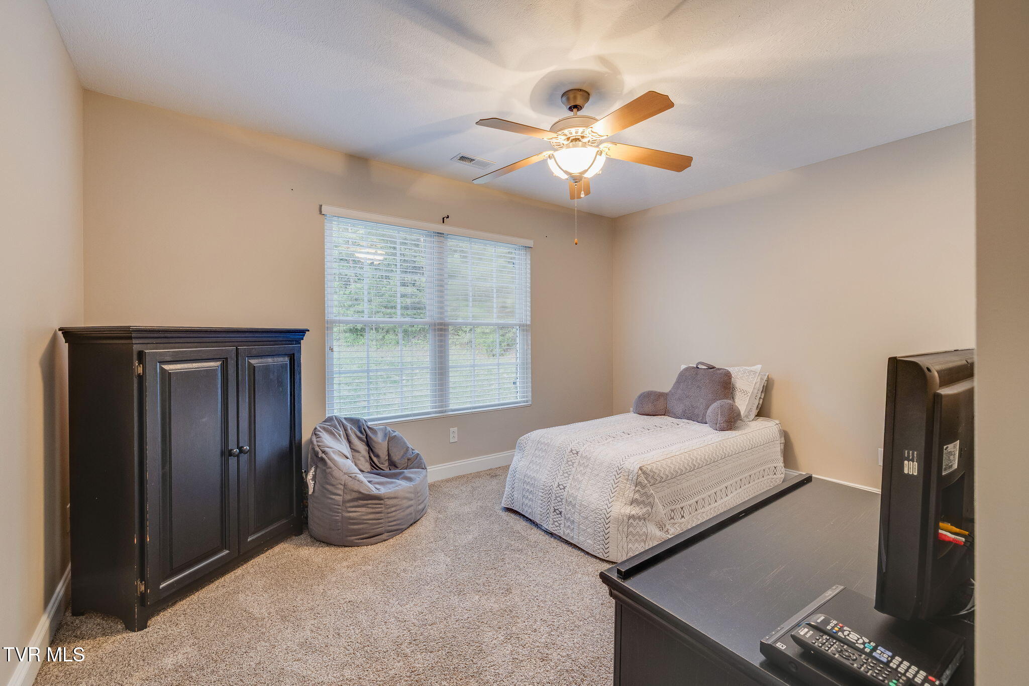 106 Stone Ridge Court, Elizabethton, Tennessee image 29