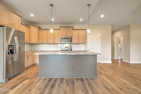 Tiny photo for 225 Red Tail Ridge, Greeneville, TN 37743 (MLS # 9986503)