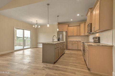 Tiny photo for 225 Red Tail Ridge, Greeneville, TN 37743 (MLS # 9986503)