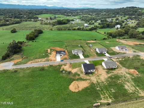 Tiny photo for 225 Red Tail Ridge, Greeneville, TN 37743 (MLS # 9986503)