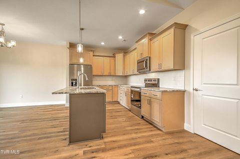 Tiny photo for 225 Red Tail Ridge, Greeneville, TN 37743 (MLS # 9986503)