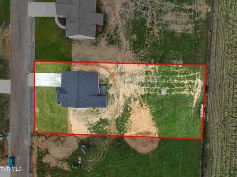 Tiny photo for 225 Red Tail Ridge, Greeneville, TN 37743 (MLS # 9986503)