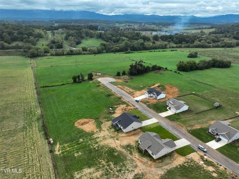 Tiny photo for 225 Red Tail Ridge, Greeneville, TN 37743 (MLS # 9986503)