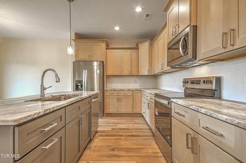 Tiny photo for 225 Red Tail Ridge, Greeneville, TN 37743 (MLS # 9986503)