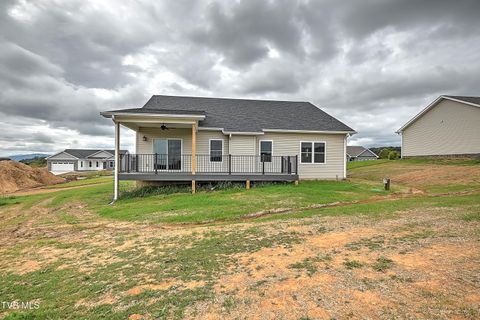Tiny photo for 225 Red Tail Ridge, Greeneville, TN 37743 (MLS # 9986503)