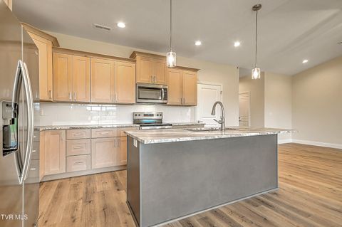 Tiny photo for 225 Red Tail Ridge, Greeneville, TN 37743 (MLS # 9986503)