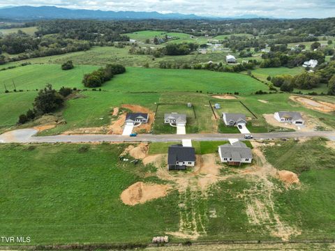 Tiny photo for 225 Red Tail Ridge, Greeneville, TN 37743 (MLS # 9986503)