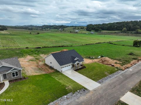 Tiny photo for 225 Red Tail Ridge, Greeneville, TN 37743 (MLS # 9986503)
