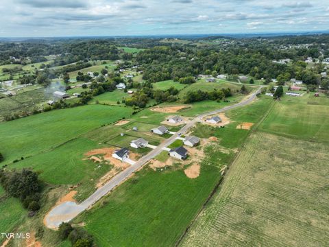 Tiny photo for 225 Red Tail Ridge, Greeneville, TN 37743 (MLS # 9986503)
