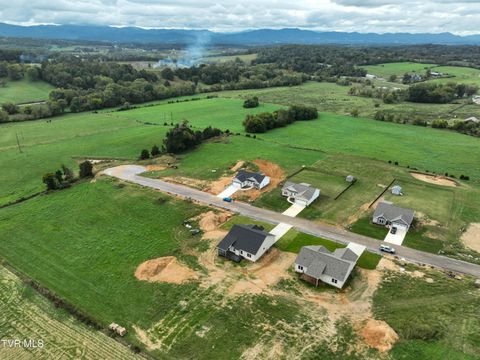 Tiny photo for 225 Red Tail Ridge, Greeneville, TN 37743 (MLS # 9986503)