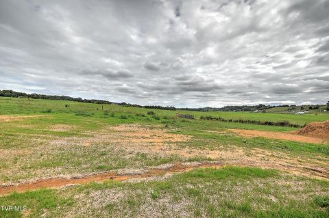 Tiny photo for 225 Red Tail Ridge, Greeneville, TN 37743 (MLS # 9986503)