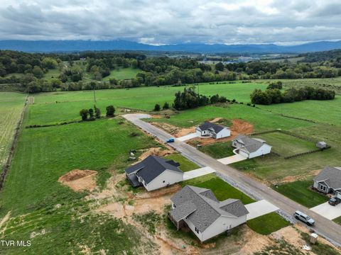 Tiny photo for 225 Red Tail Ridge, Greeneville, TN 37743 (MLS # 9986503)