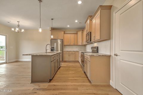Tiny photo for 225 Red Tail Ridge, Greeneville, TN 37743 (MLS # 9986503)