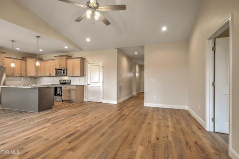 Tiny photo for 225 Red Tail Ridge, Greeneville, TN 37743 (MLS # 9986503)