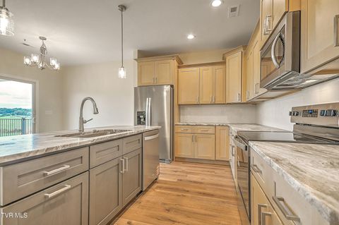 Tiny photo for 225 Red Tail Ridge, Greeneville, TN 37743 (MLS # 9986503)