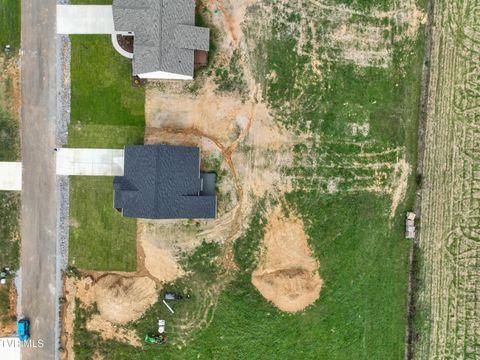 Tiny photo for 225 Red Tail Ridge, Greeneville, TN 37743 (MLS # 9986503)
