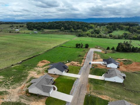 Tiny photo for 225 Red Tail Ridge, Greeneville, TN 37743 (MLS # 9986503)
